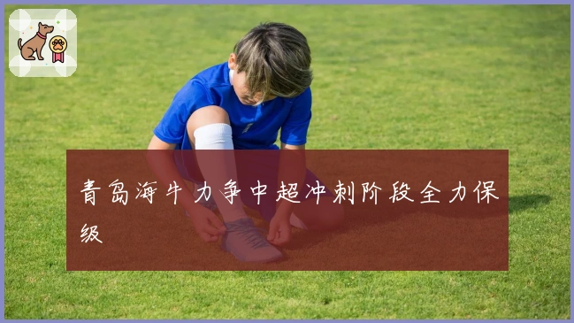 青岛海牛力争中超冲刺阶段全力保级