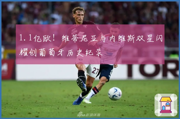 1.1亿欧！维蒂尼亚与内维斯双星闪耀创葡萄牙历史纪录