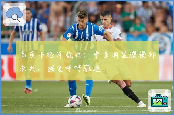 乌度卡怒斥裁判：申京明显遭侵却未判，掘金呼吁驱逐